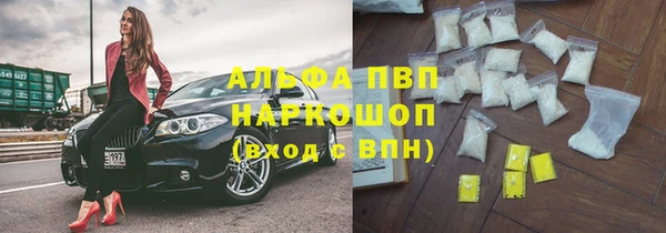 сатива Липки