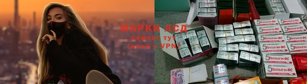 сатива Липки