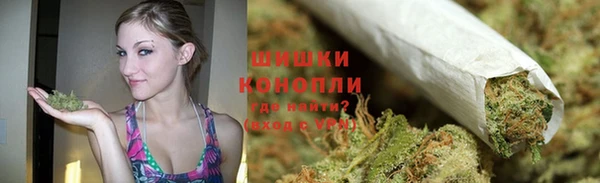 сатива Липки