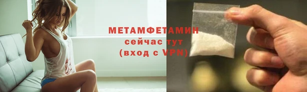 сатива Липки