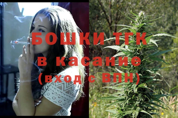 сатива Липки