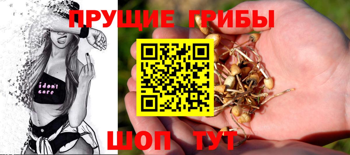 где можно купить наркотик  Вход с VPN  Череповец  Галлюциногенные грибы ЛСД 